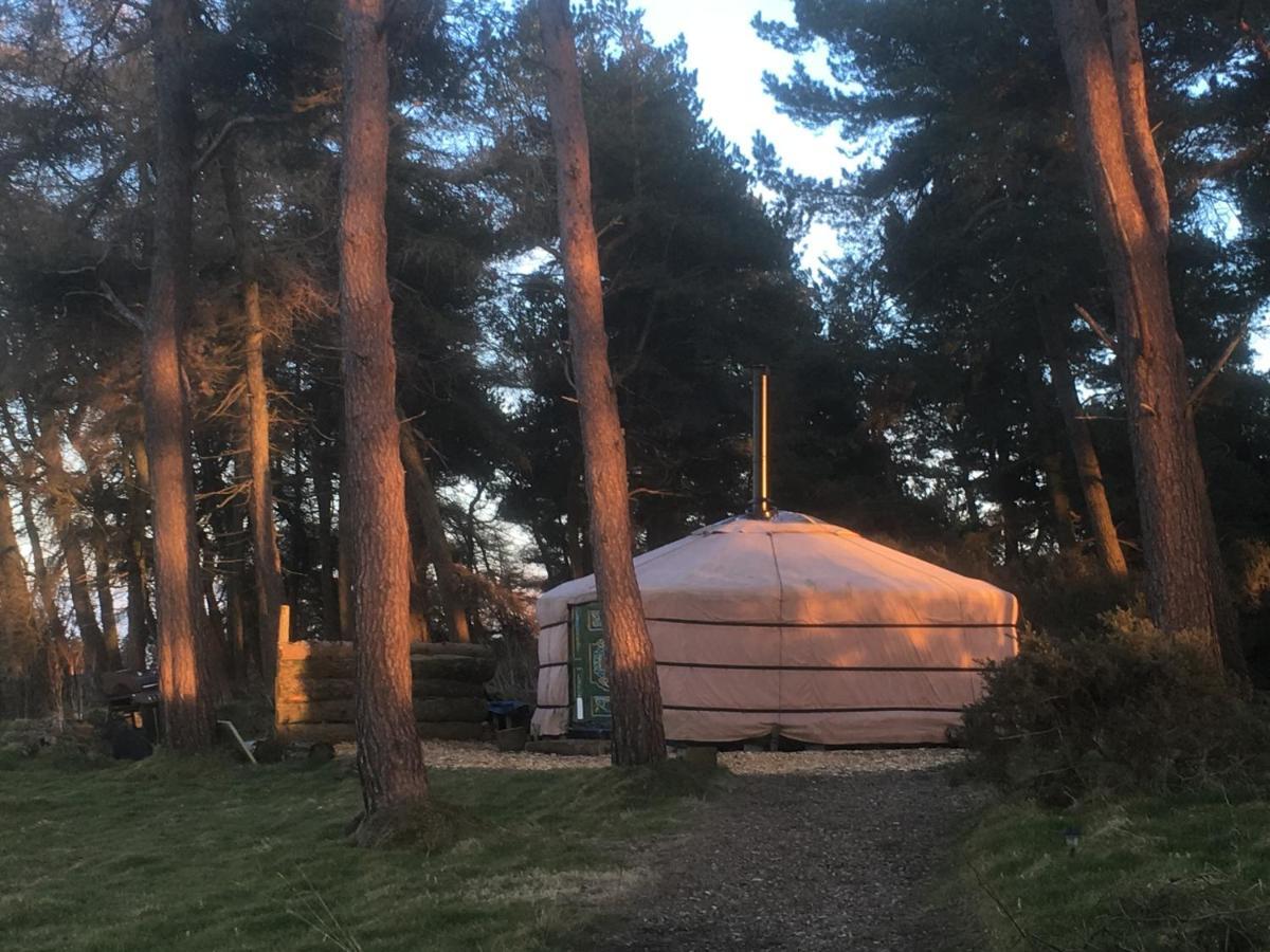 Penbedw Uchaf Estate - Rural Retreats, Tennis Mold Εξωτερικό φωτογραφία