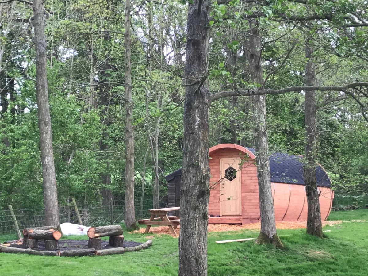Penbedw Uchaf Estate - Rural Retreats, Tennis Mold Εξωτερικό φωτογραφία