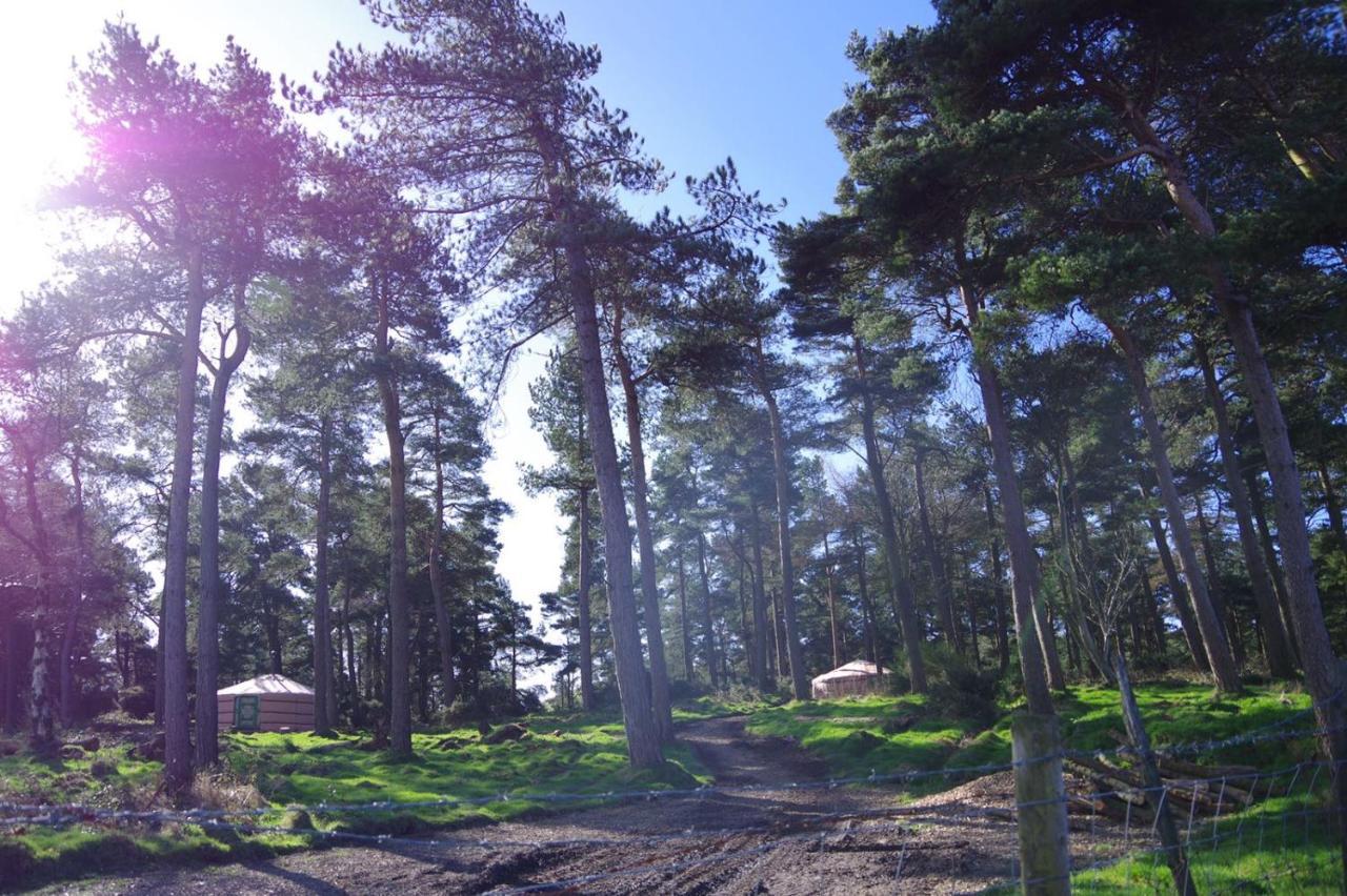 Penbedw Uchaf Estate - Rural Retreats, Tennis Mold Εξωτερικό φωτογραφία